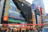 Tokyo's Tech Wonderland: A Geek's Guide to Akihabara